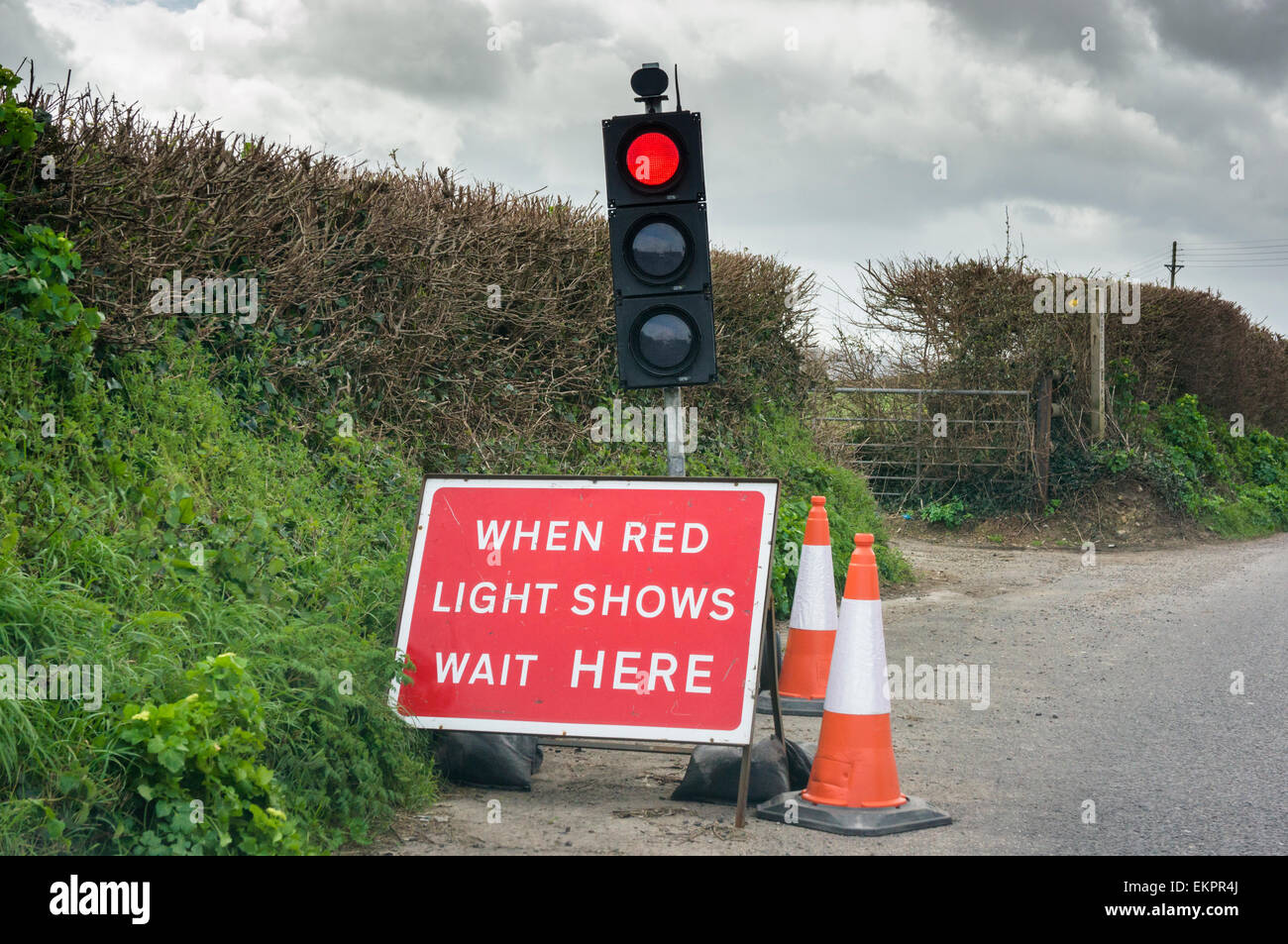Semafori su un paese rurale road, England, Regno Unito Foto Stock