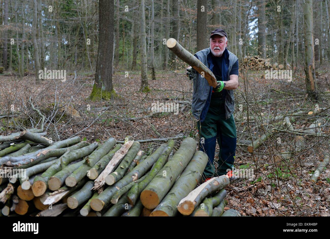 Macchinoso nella foresta, Germania, vicino alla città di Pöhlde, 11. Aprile 2015. Foto: Frank Maggio/picture alliance Foto Stock