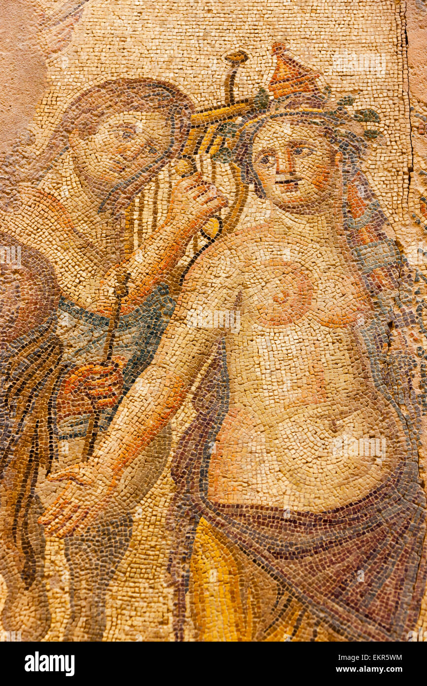 Pittura a mosaico nel parco archeologico, Paphos (Paphos), la Repubblica di Cipro Foto Stock