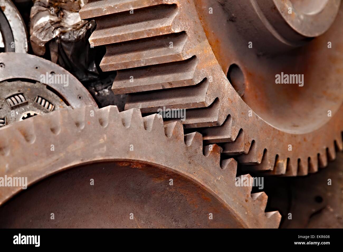Ruote dentate Foto Stock