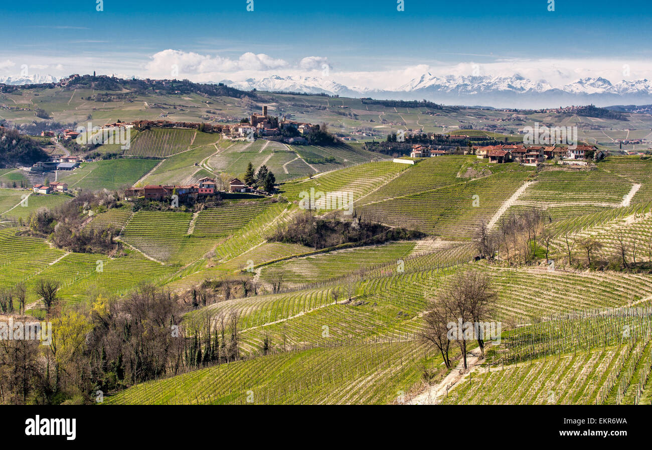 Il vino Barolo regione nel nord Italia, vicino a Serralunga d'Alba.La vista è a nord verso le Alpi Italiane Foto Stock