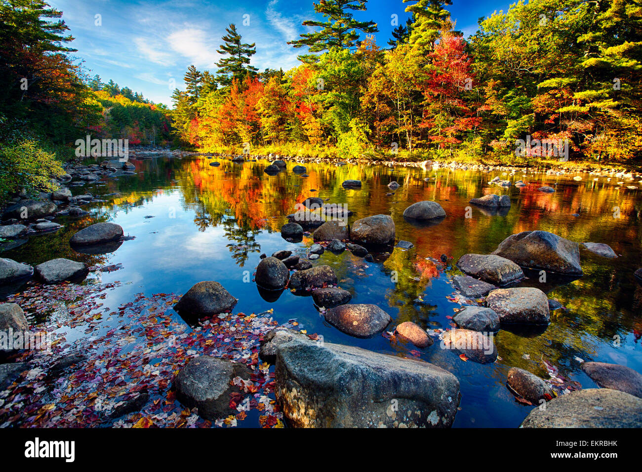 Basso Angolo di visione di un fiume calmo con albero colorato riflessioni, Swift River, White Mountains National Forest, New Hampshire Foto Stock