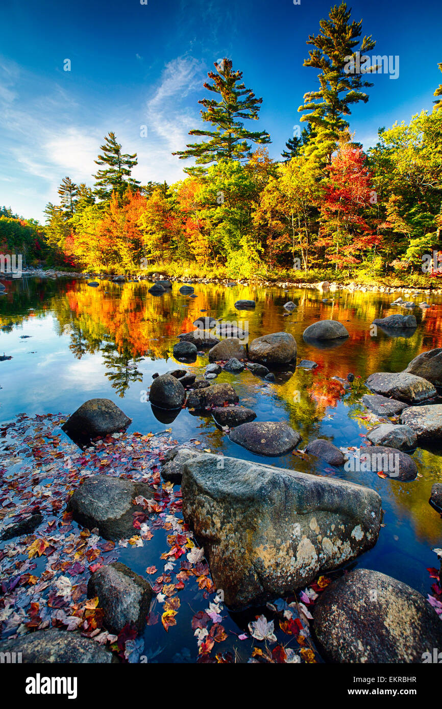 Vista di un fiume con rocce e fogliame riflessioni, Swift River, White Mountains National Forest, New Hampshire Foto Stock