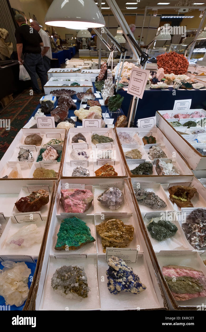 Rocce e minerali per la vendita, Tucson Gem e Mineral Show, Tucson, Arizona Foto Stock