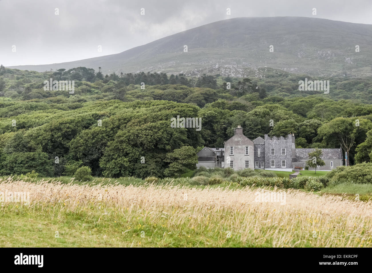 Il Derrynane House, Caherdaniel, Killarney, County Kerry, Irlanda Foto Stock