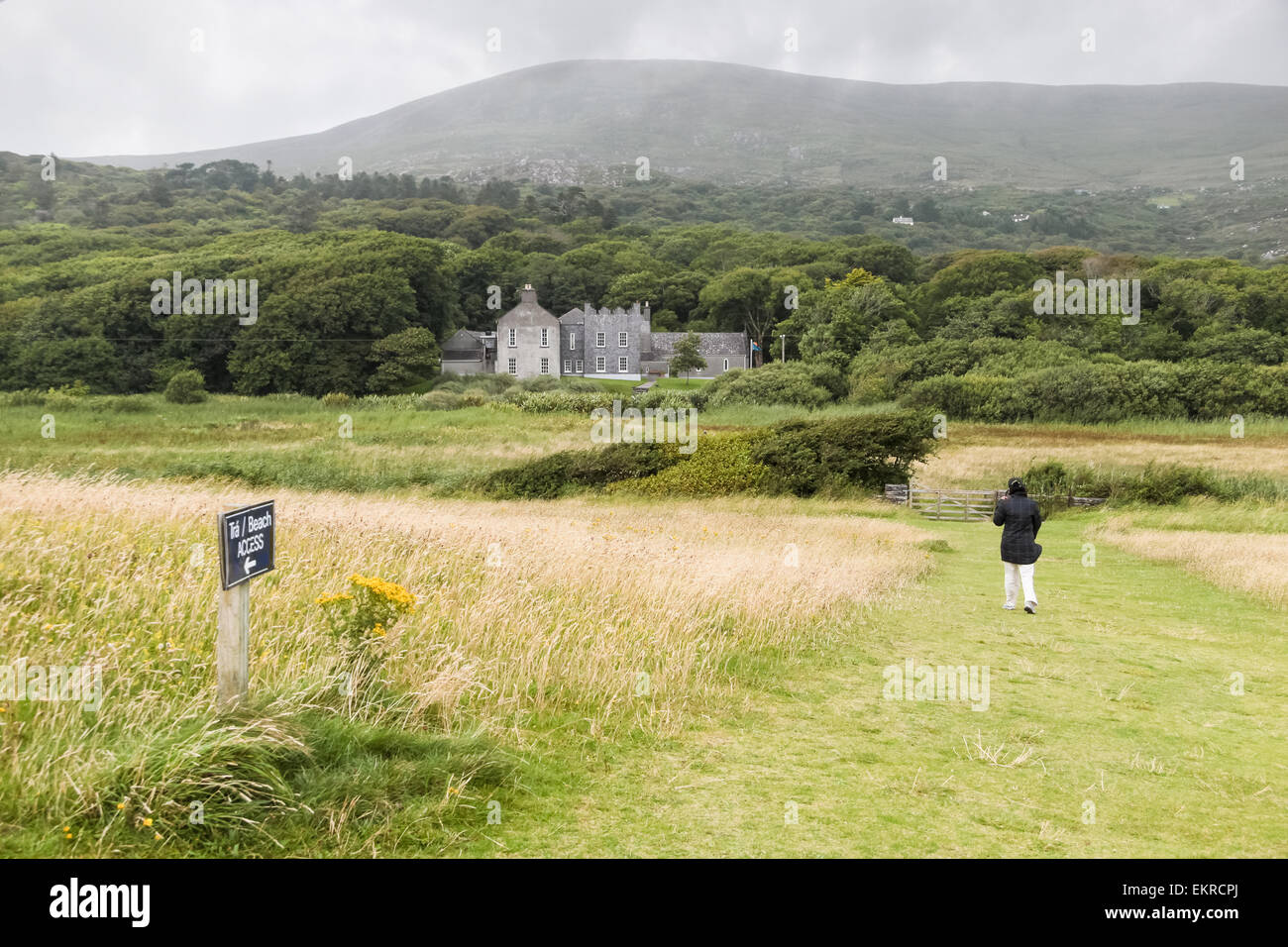 Prati presso Il Derrynane House, Caherdaniel, Killarney, County Kerry, Irlanda Foto Stock