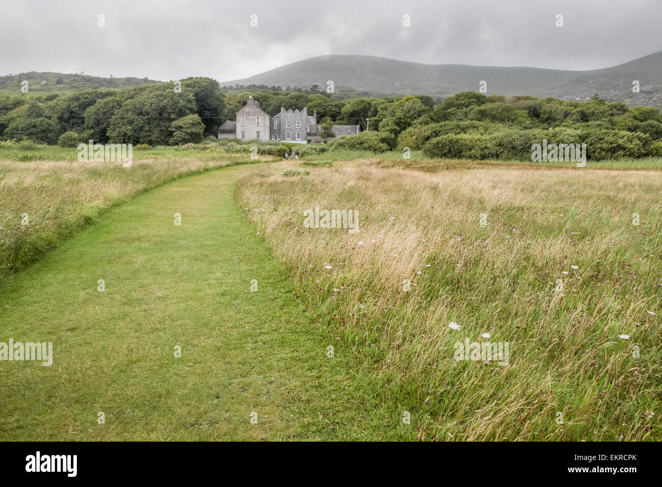 Prati presso Il Derrynane House, Caherdaniel, Killarney, County Kerry, Irlanda Foto Stock