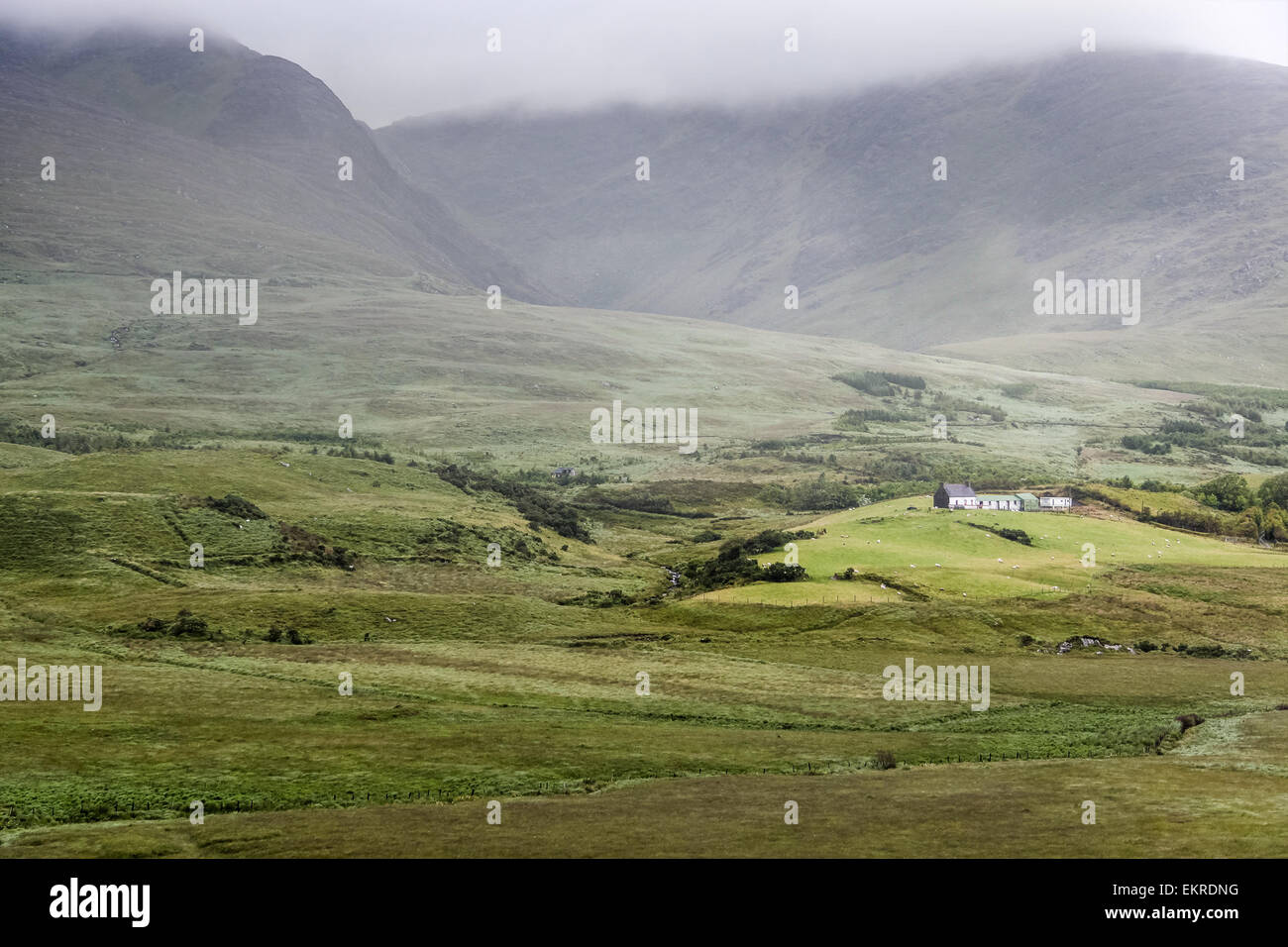 Brumoso paesaggio di Ladies View, Parco Nazionale di Killarney, Iveragh Peninsula, nella contea di Kerry, Irlanda Foto Stock
