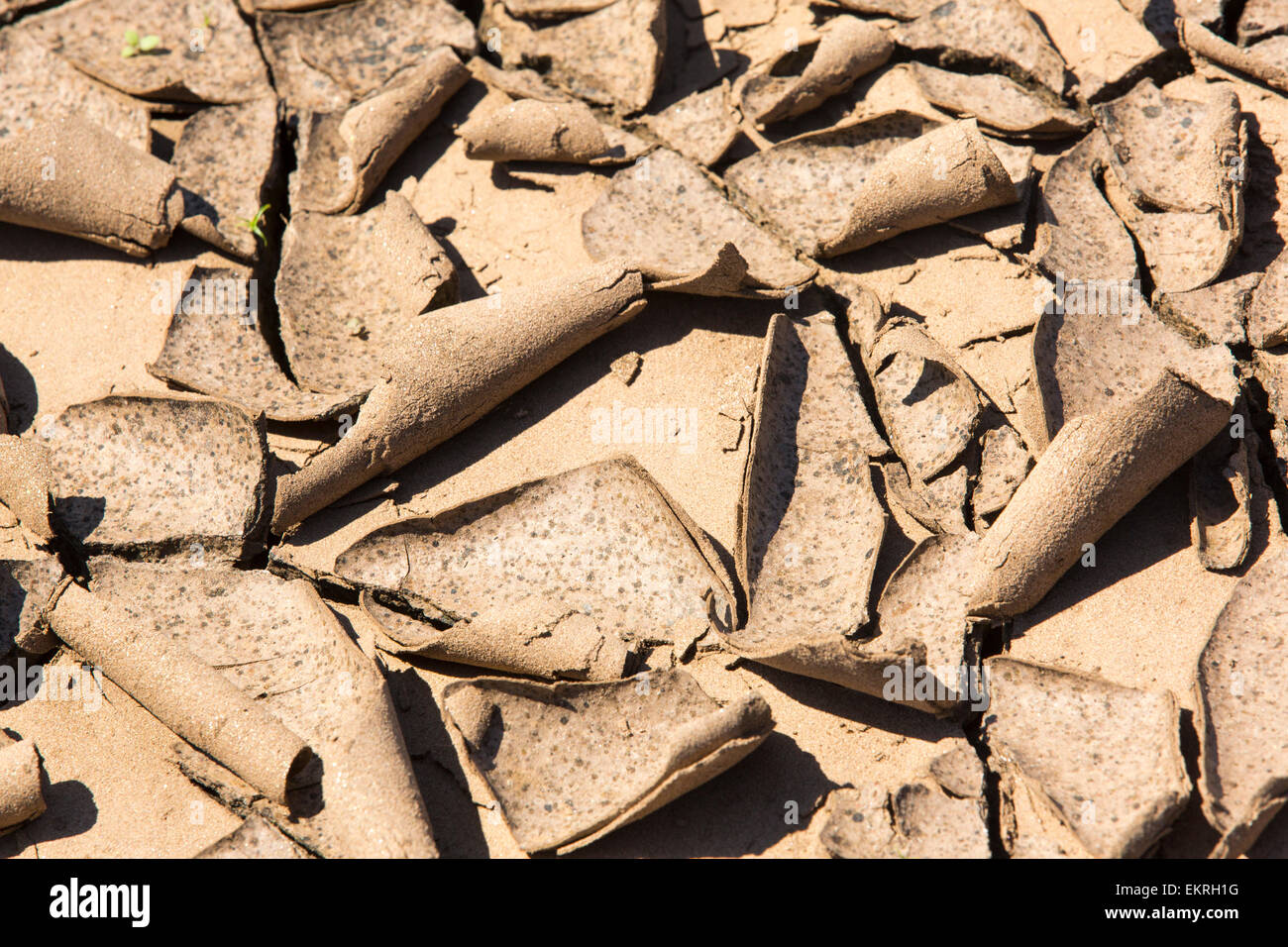 Crepe di fango in essiccazione fino flood i detriti dopo le catastrofiche inondazioni Malawi Malawi, Africa. Foto Stock