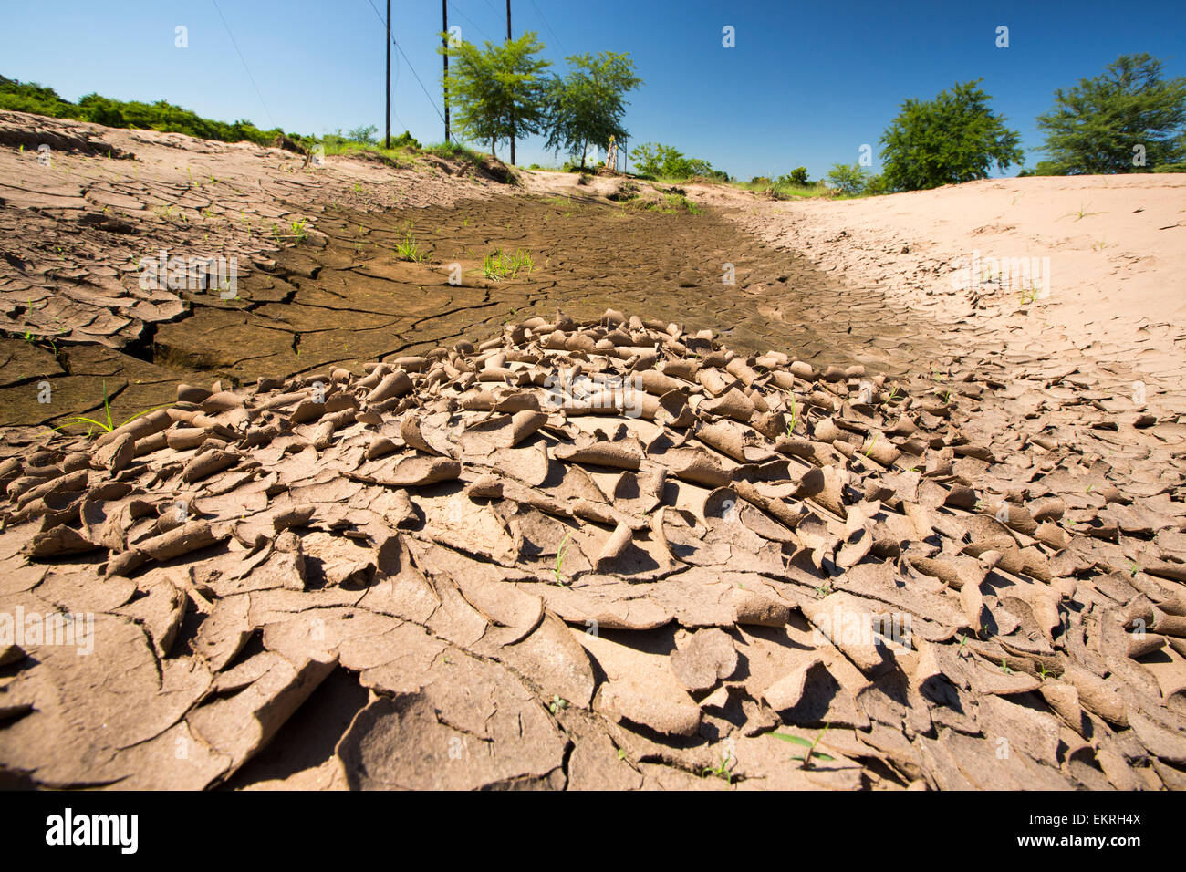 Crepe di fango in essiccato fino flood i sedimenti giacenti su ex terreni agricoli in seguito al disastroso 2015 Malawi inondazioni nei pressi Bangula, Malawi, Africa. Foto Stock