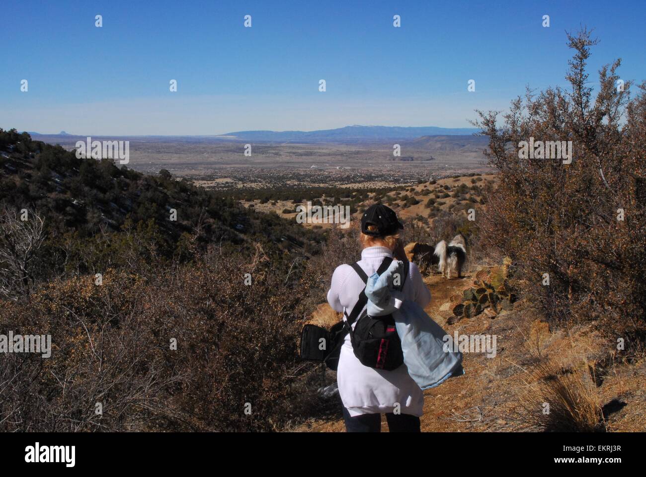 Senior escursionismo con il suo cane New Mexico - USA Foto Stock