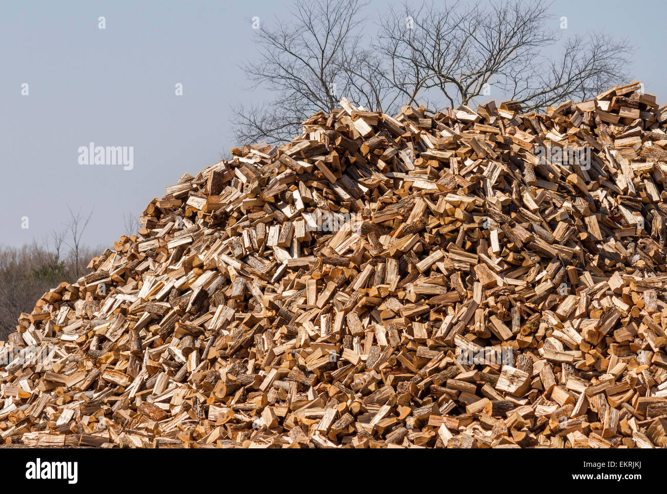 Gran mucchio di spaccare la legna indurimento fuori nel sole Foto Stock