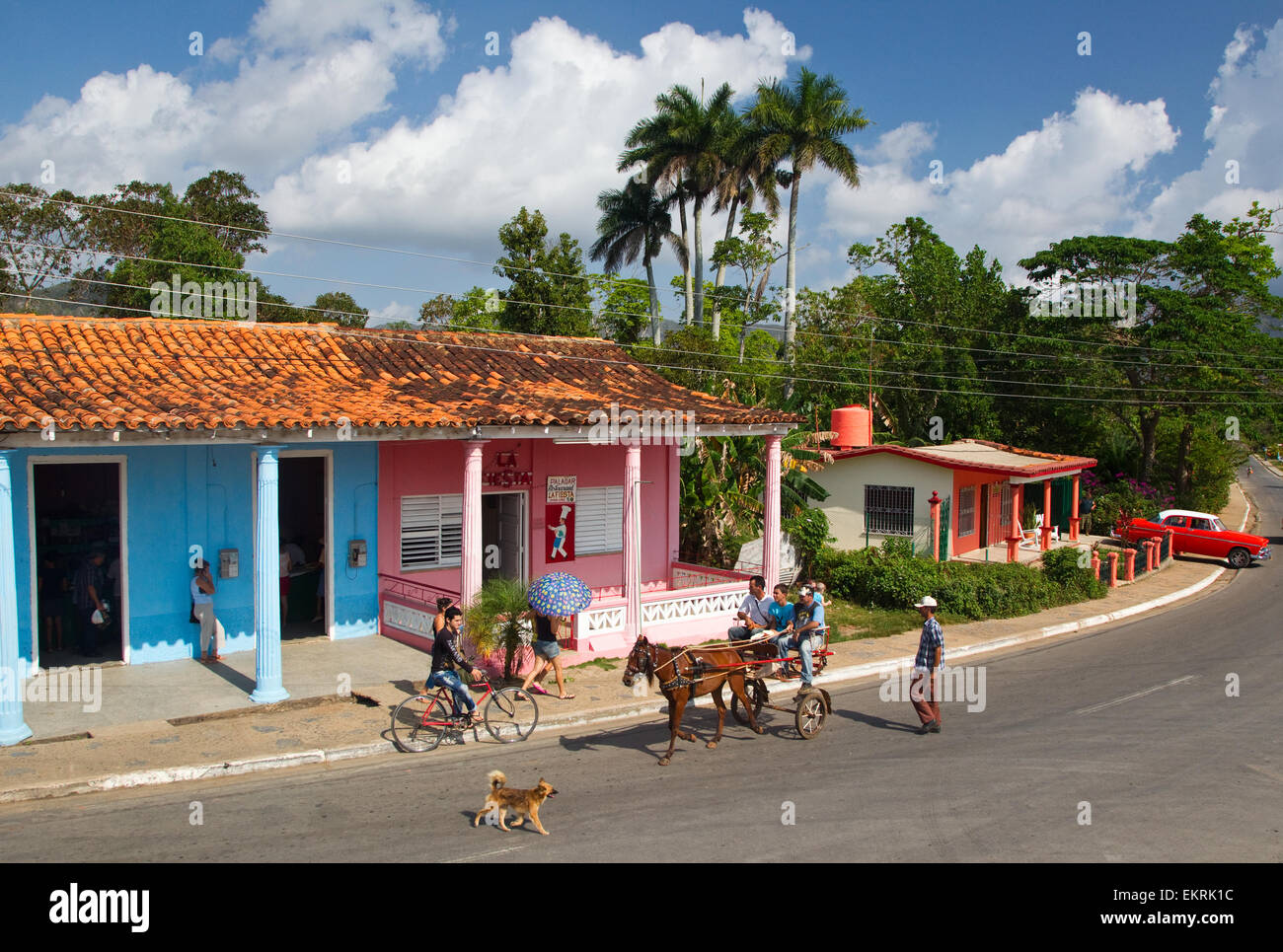 Una scena di strada in Vinales,Cuba Foto Stock