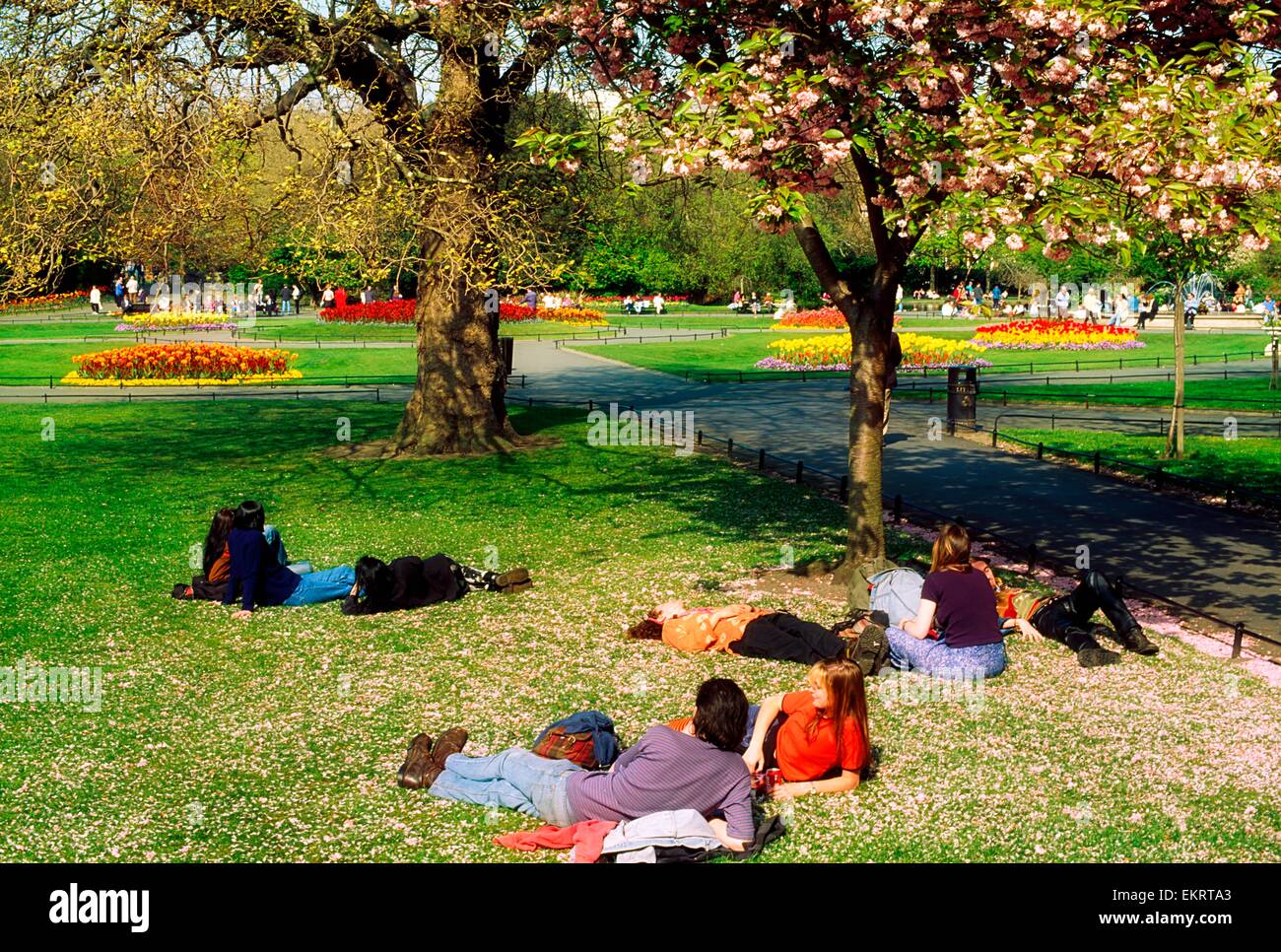 Saint Stephen's Green, Dublino, Co Dublin, Irlanda Foto Stock