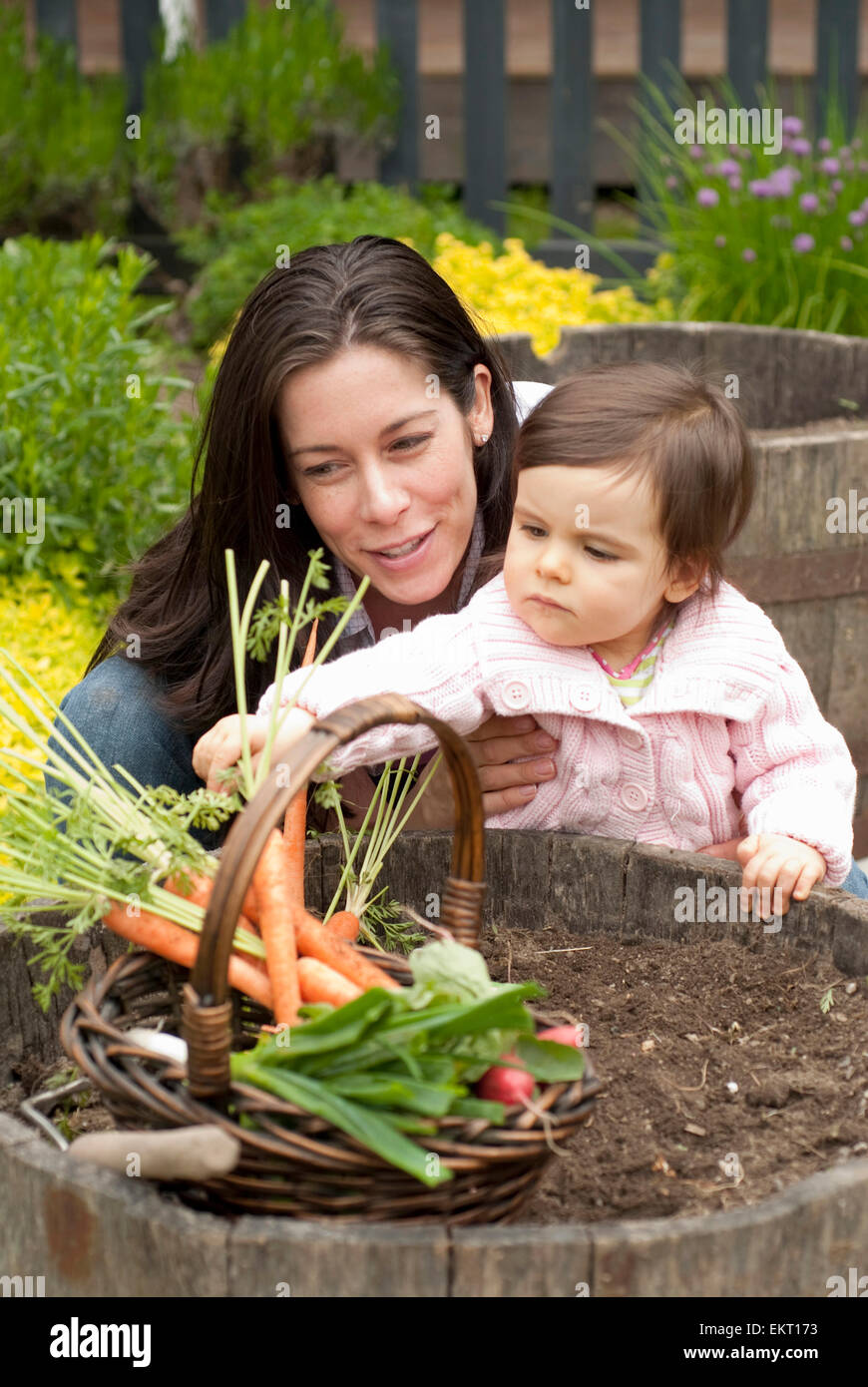 La madre e il bambino la raccolta di carote e verdure dal giardino esterno, Vancouver British Columbia Foto Stock