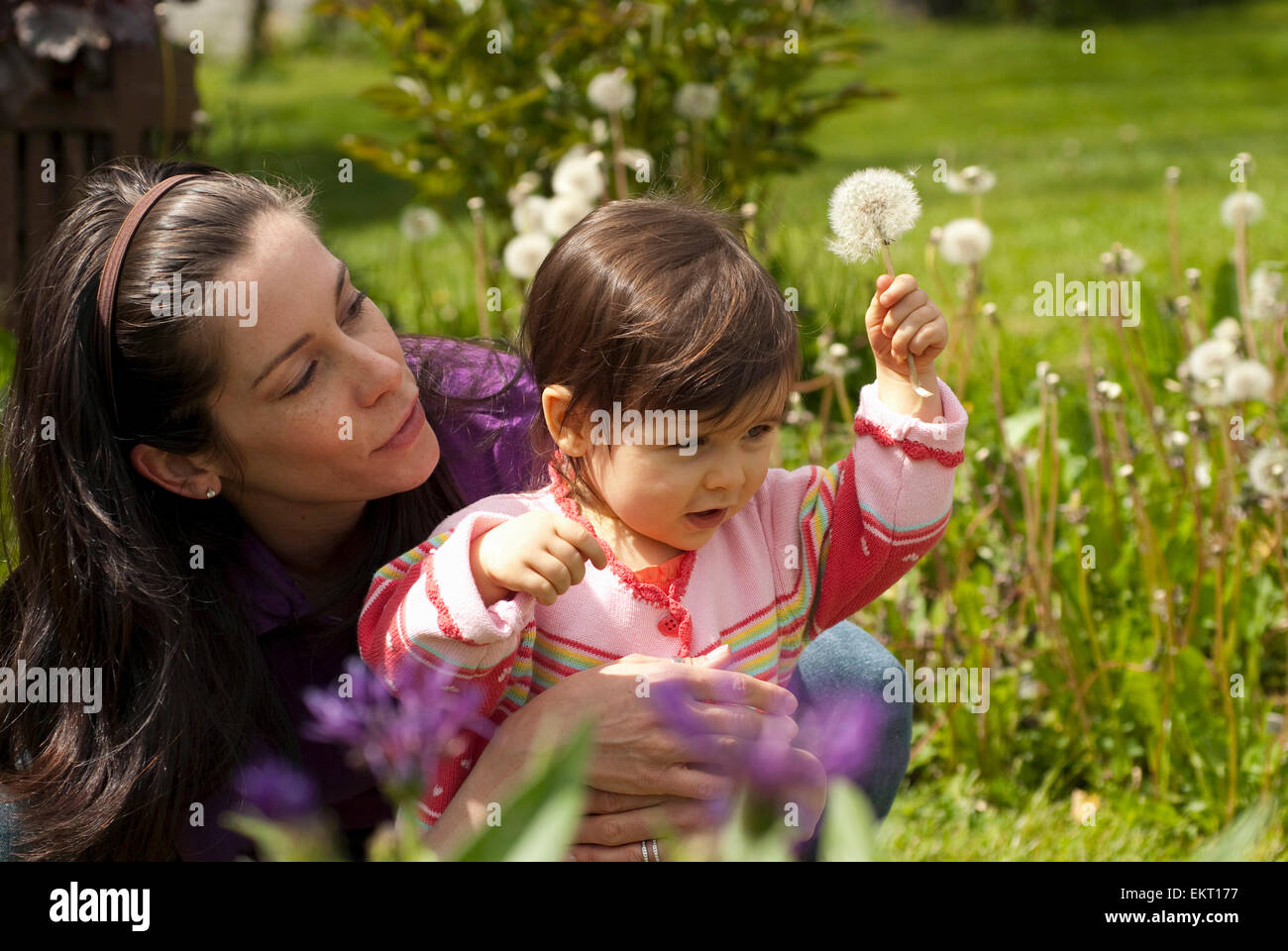 La madre e il bambino guardando al di fuori di fiori in un giardino, Vancouver British Columbia Foto Stock