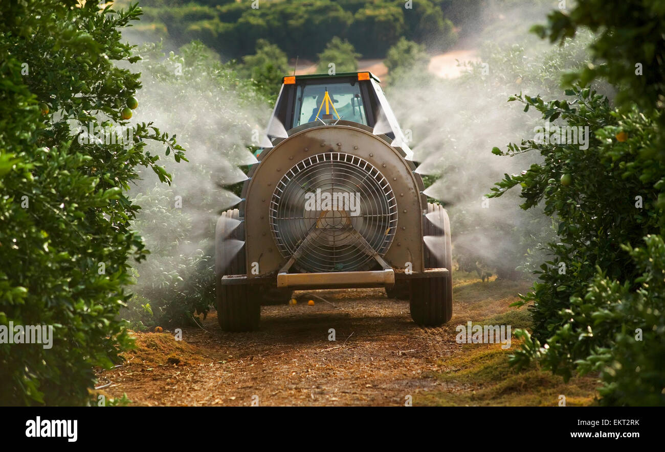 California,fungicida,Tulare County,spruzzo a getto Foto Stock