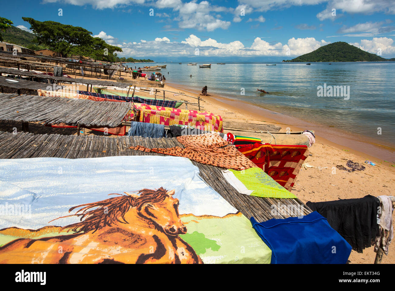 Stendibiancheria sul pesce stendini a Cape Maclear sulle rive del Lago Malawi Malawi, Africa. Foto Stock