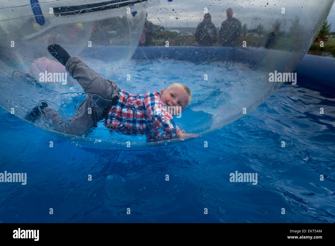 Giovane ragazzo in un gigante di vedere attraverso la sfera gonfiabile noto come 'acqua walking balls", il summer festival, Reykjavik, Islanda Foto Stock