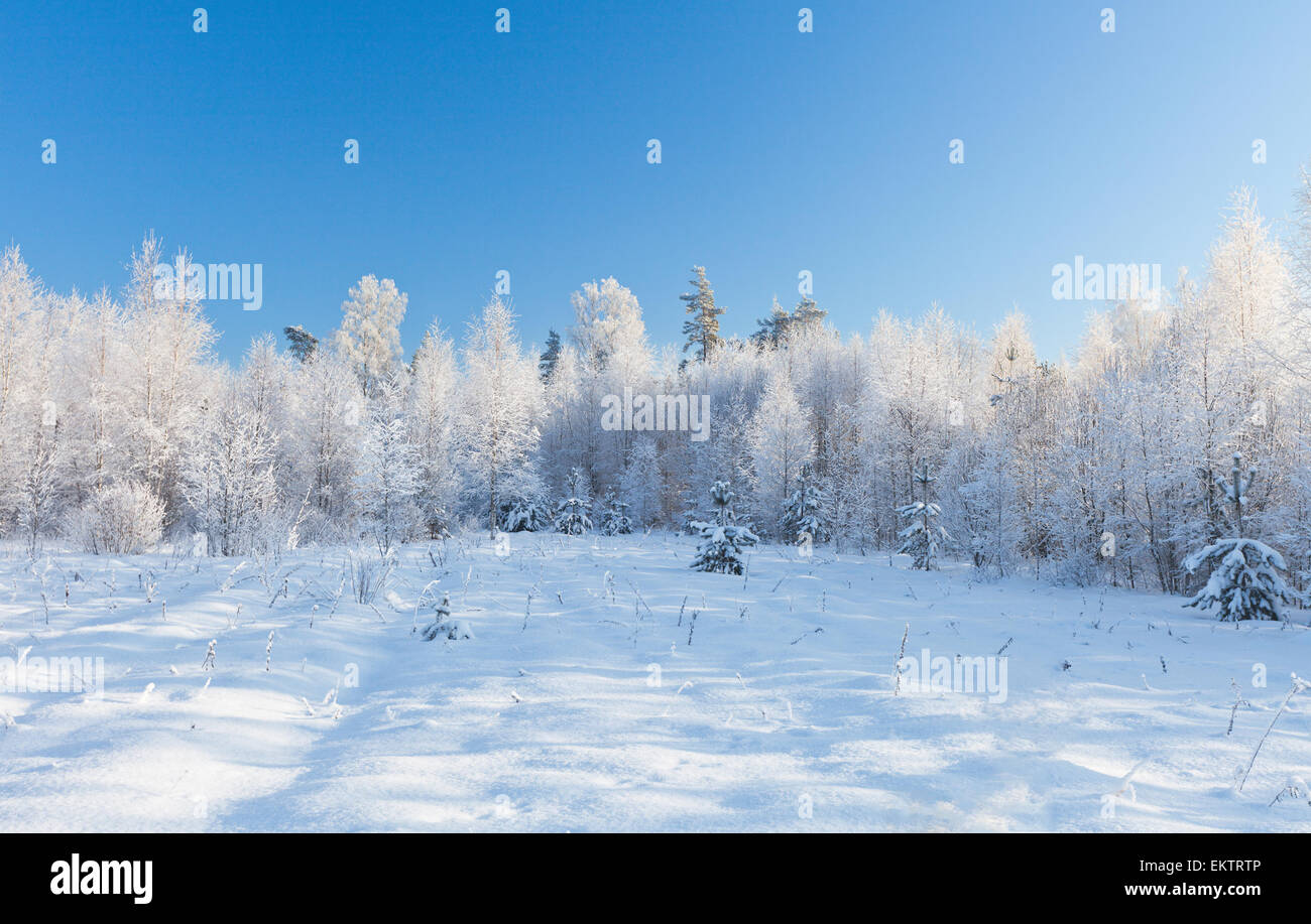 Winter Park nella neve Foto Stock