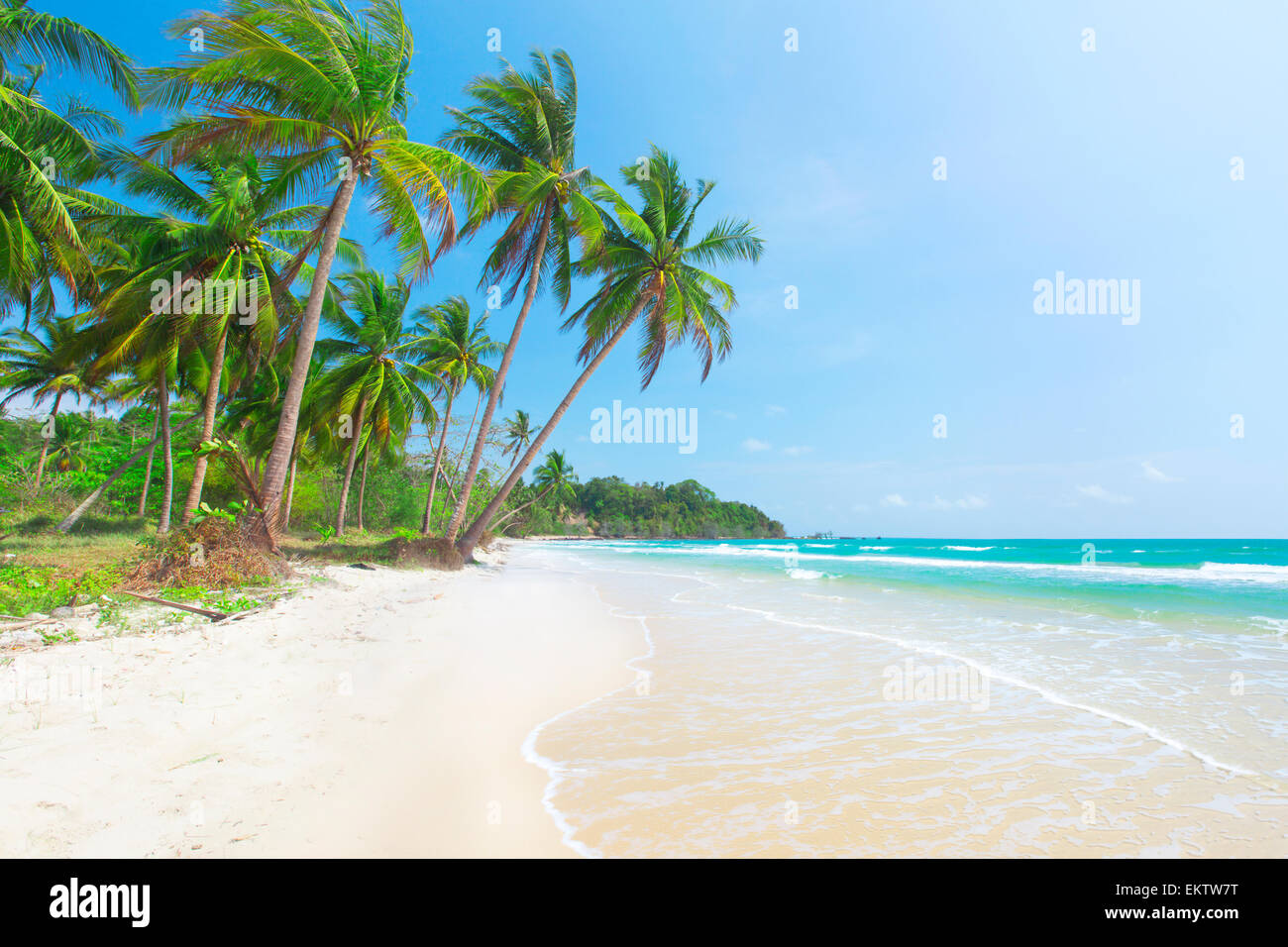 Spiaggia tropicale con palme di cocco Foto Stock
