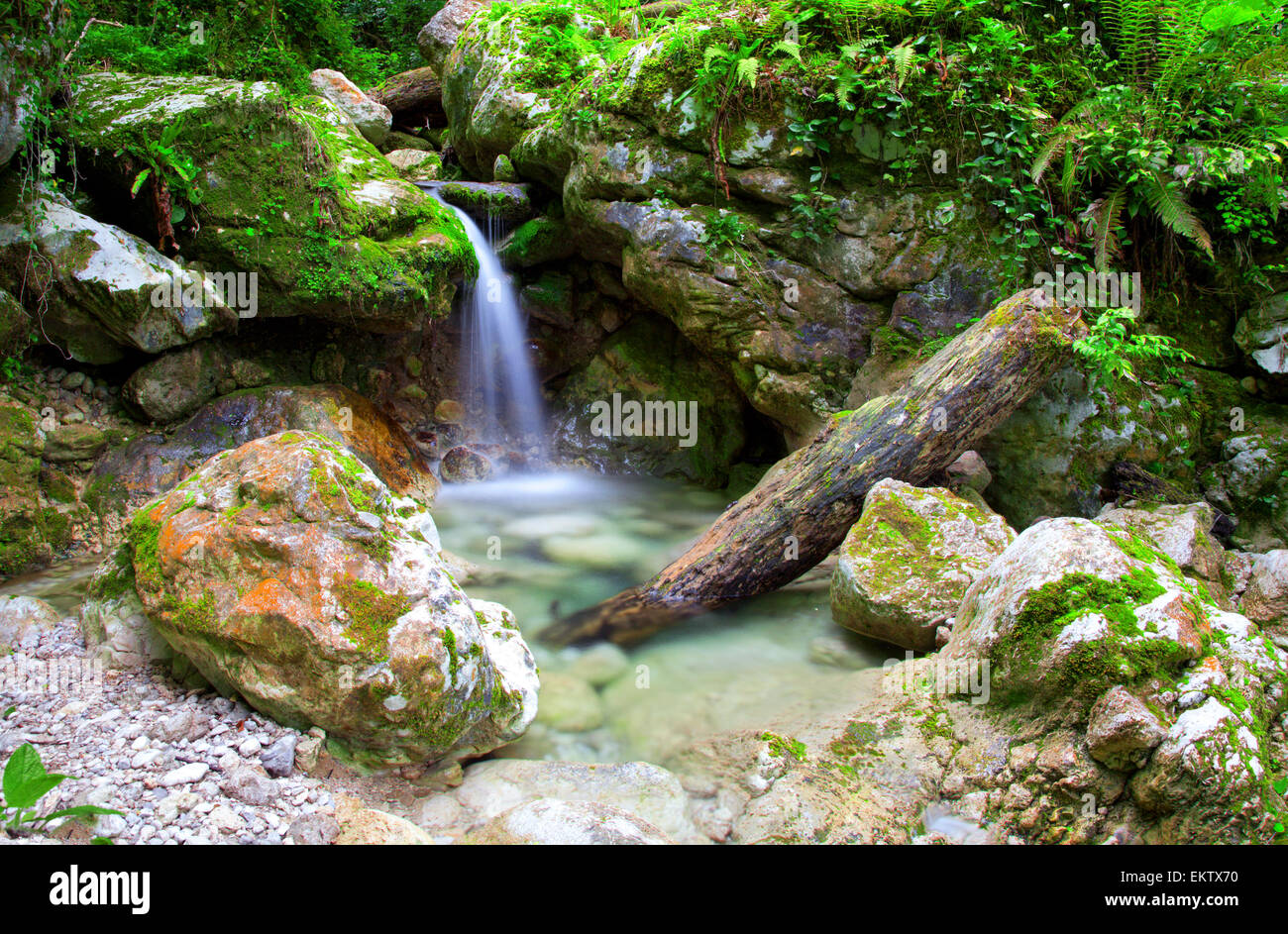 Cascata in deep forest Foto Stock