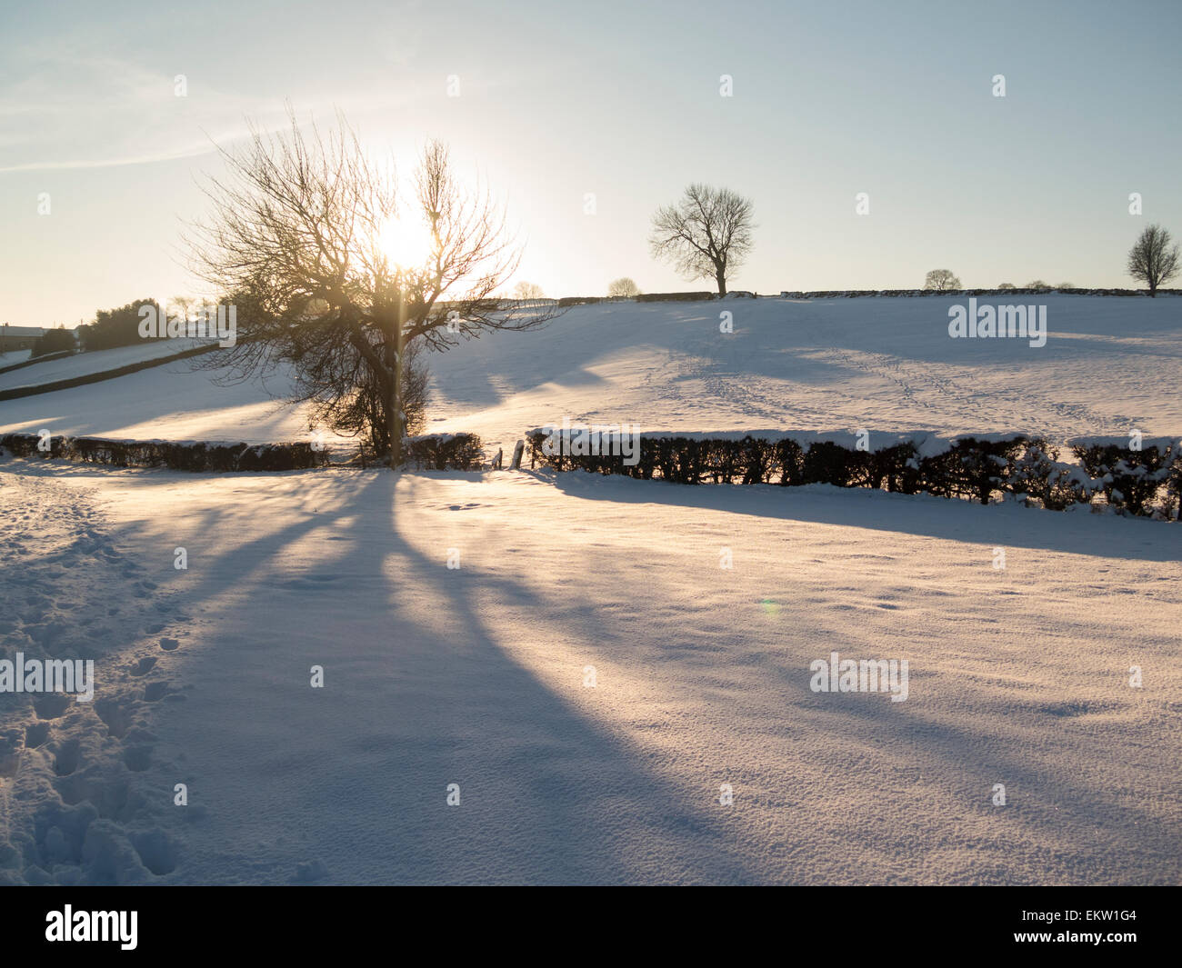 Snow,vicino a Matlock,Derbyshire,la Gran Bretagna (dicembre 2014) Foto Stock