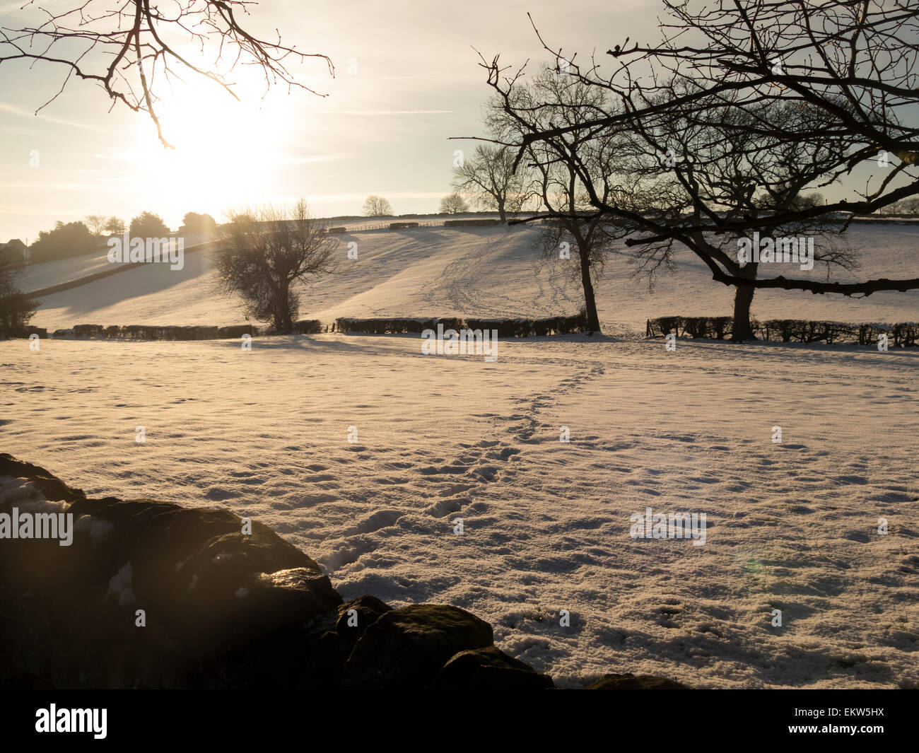 Snow,vicino a Matlock,Derbyshire,la Gran Bretagna (dicembre 2014) Foto Stock
