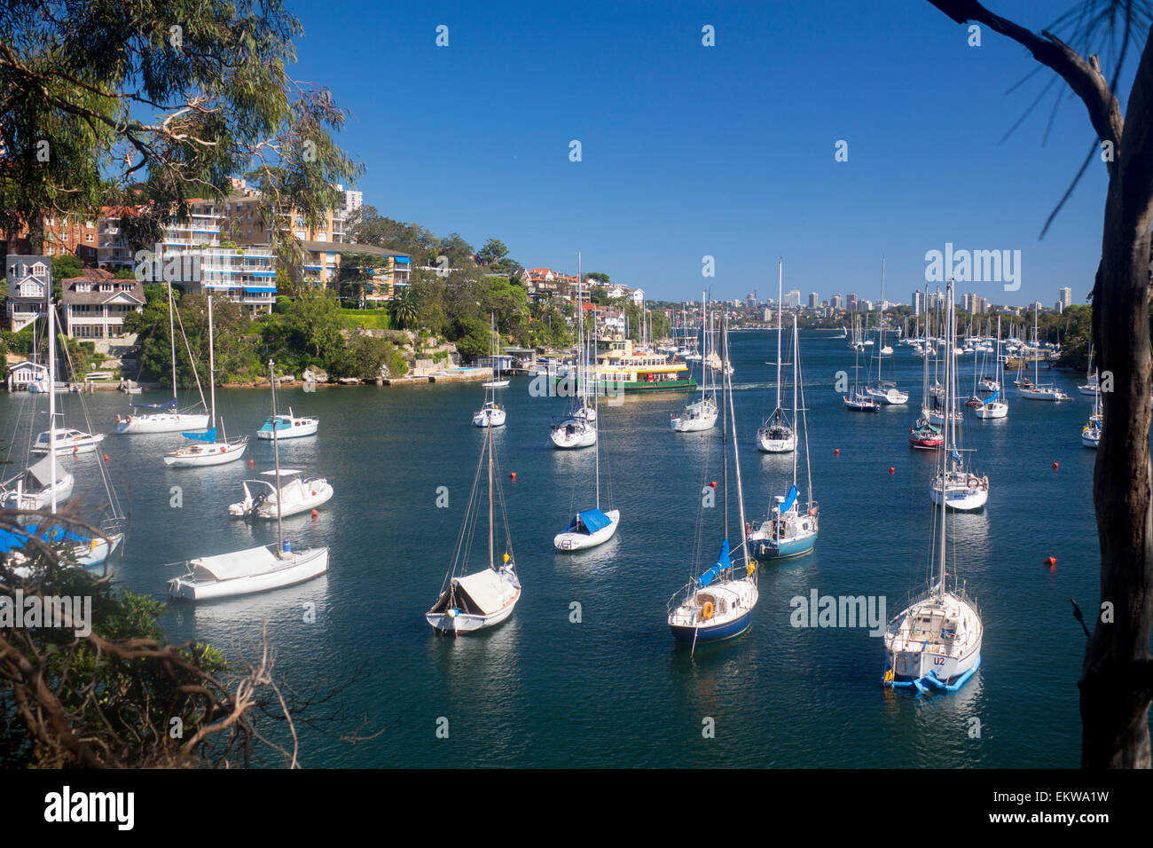 Mosman Harbour o Mosman Bay con barche, guardando fuori a Port Jackson North Shore sobborghi con ferry di Sydney Australia NSW Foto Stock