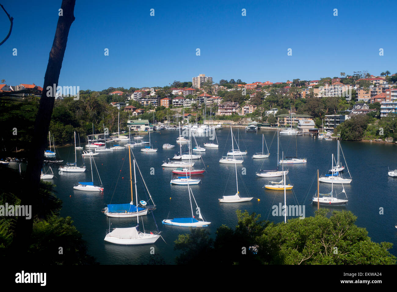 Mosman Harbour o Mosman Bay con barche North Shore sobborghi Sydney New South Wales NSW Australia Foto Stock