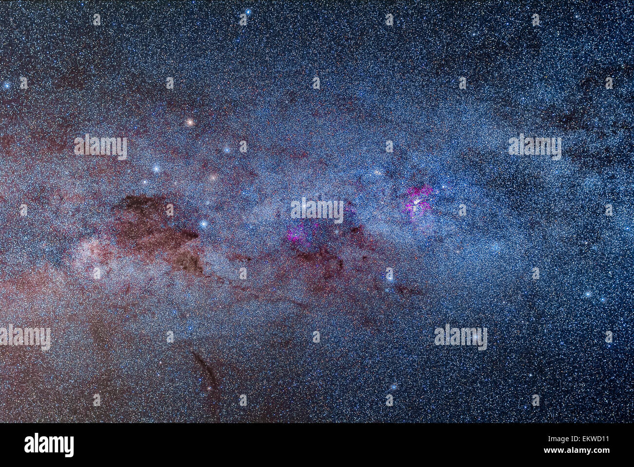 La Via Lattea attraverso carina e Crux, con il Carina Nebula a destra e la Croce del Sud a sinistra e la Coalsack accanto a t Foto Stock