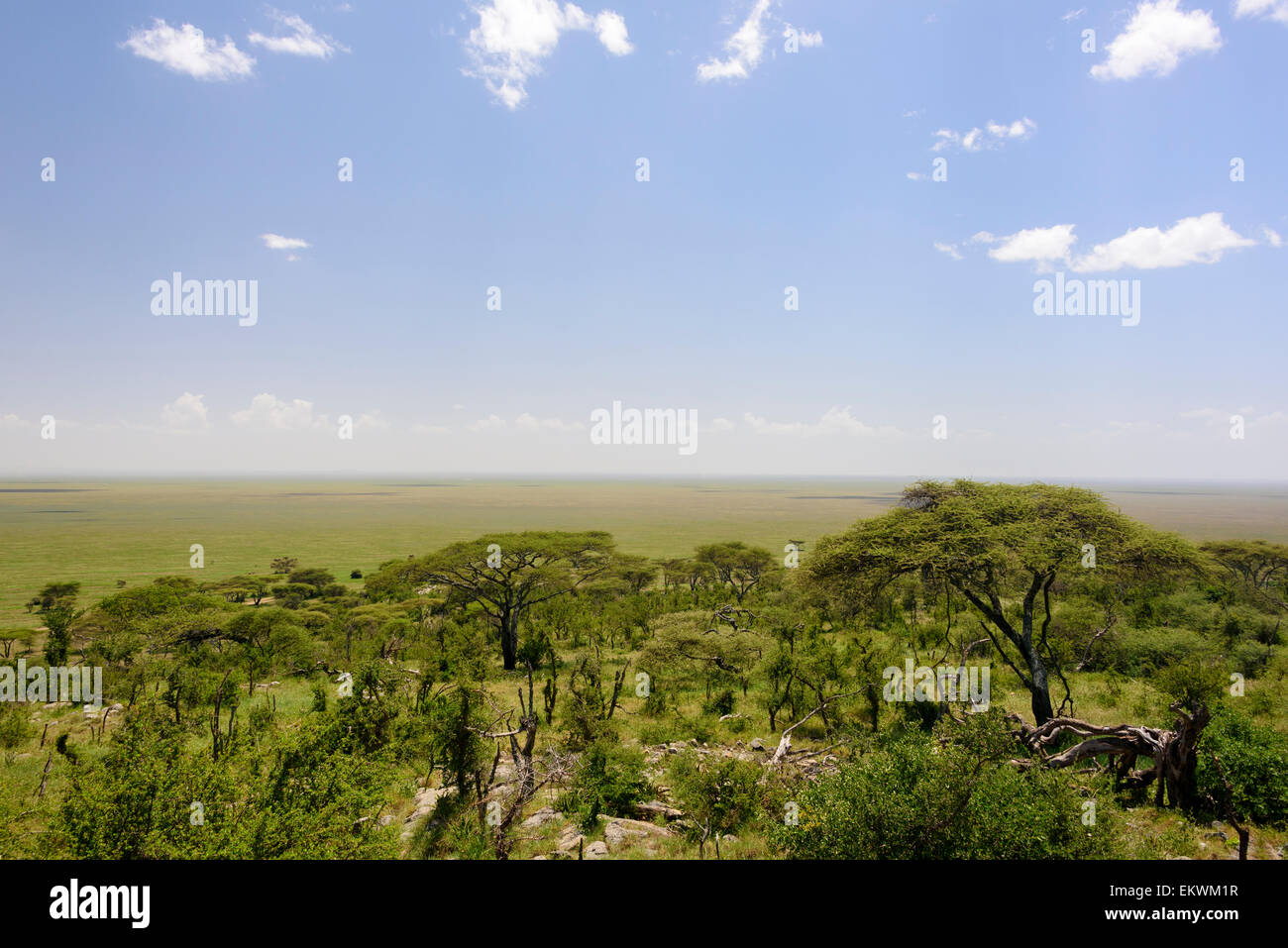 Parco Nazionale del Serengeti paesaggio Mara e regioni Simiyu, Tanzania Africa Foto Stock