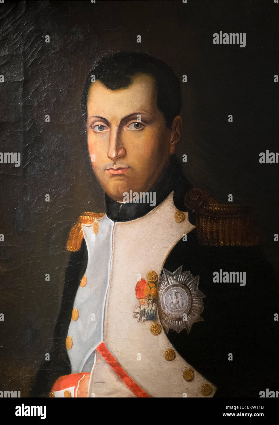 Pittura Imperatore Napoleone Bonaparte Foto Stock