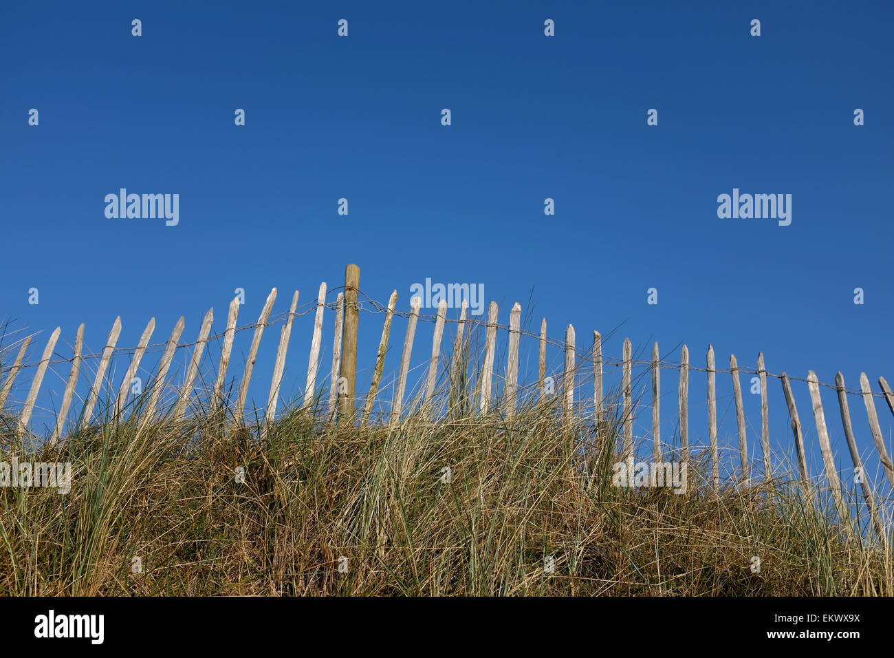 Staccionata in legno con un cielo blu e l'erba lunga Foto Stock