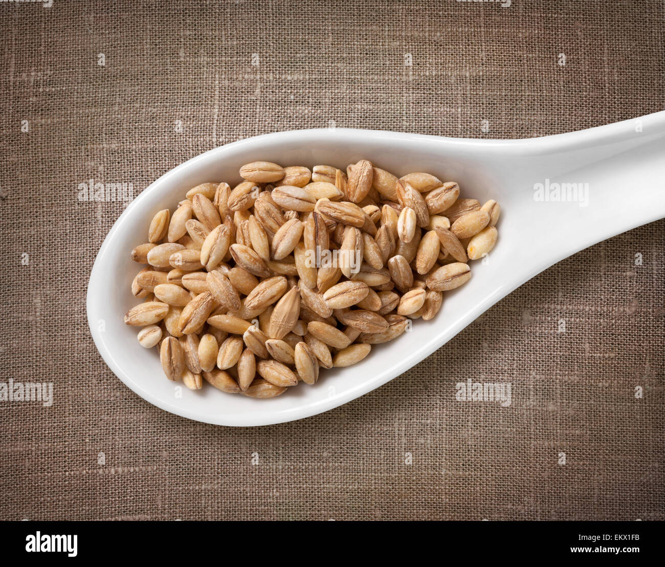 Orzo perlato in porcellana bianca cucchiaio / foto ad alta risoluzione di grano in porcellana bianca cucchiaio su tela cilicio sfondo Foto Stock