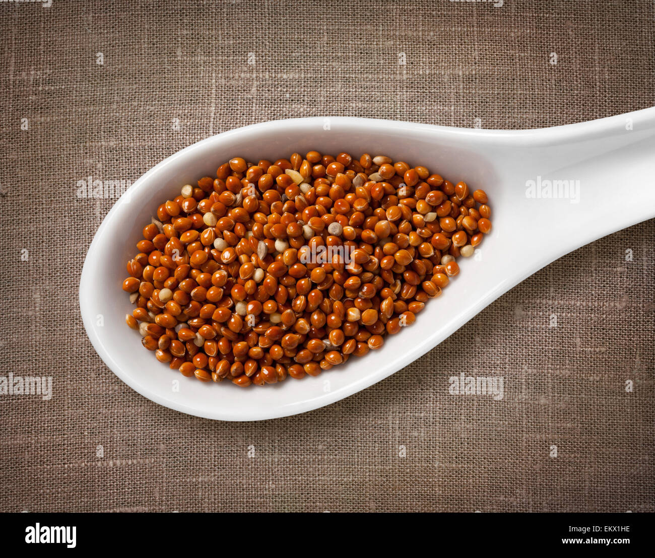 Il miglio di semi in un cucchiaio di legno / foto ad alta risoluzione di grano in porcellana bianca cucchiaio su tela cilicio sfondo Foto Stock