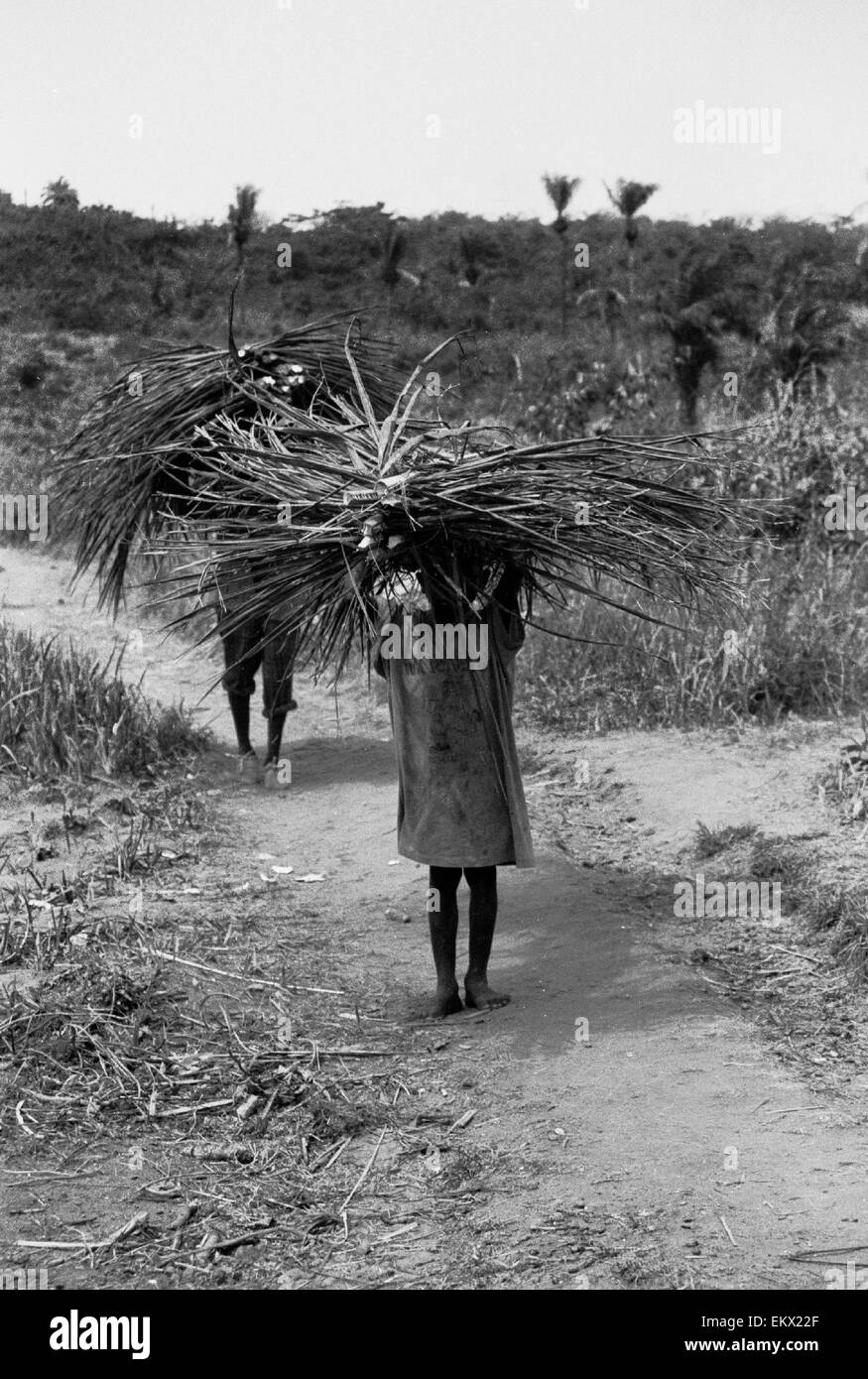 I bambini la raccolta di materiale per la costruzione di rifugi in kenema Sierra Leone 1993 Foto Stock