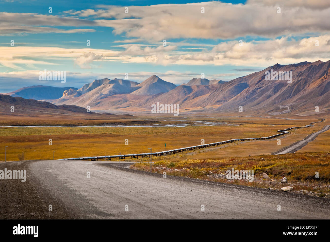 Alaska,Valley,Tundra,Trans-Alaska Pipeline Foto Stock