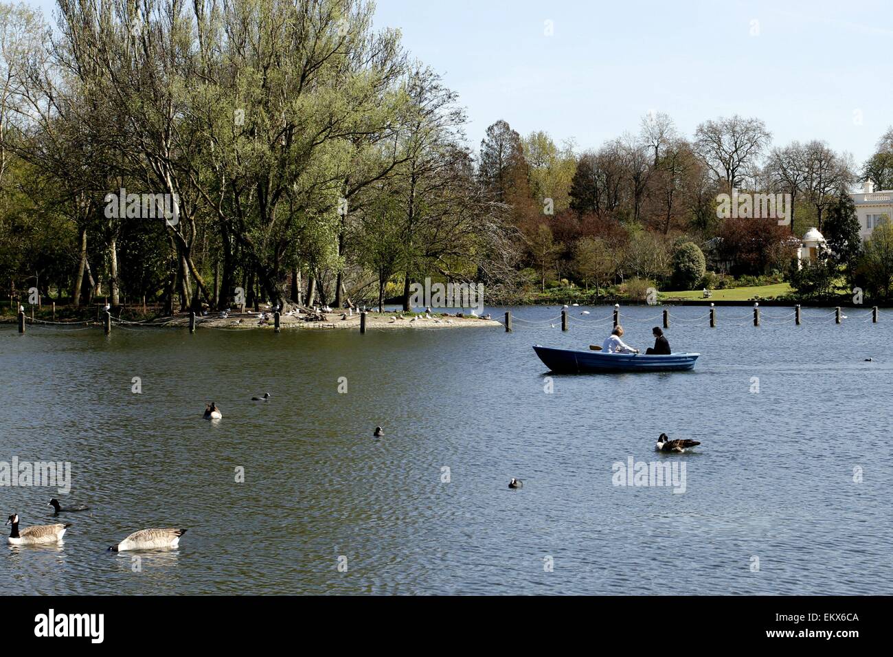 Regents Park, London, Regno Unito. Il 14 aprile, 2015. Meteo REGNO UNITO: Famiglie Godetevi il lago a Regents Park, Londra nel sole di primavera. Credito: Ed Brown/Alamy Live News Foto Stock