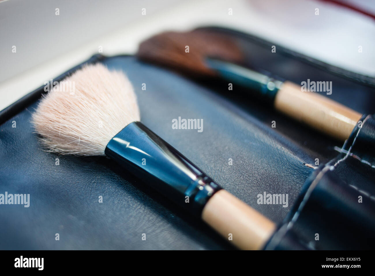 Make-up artist's set di spazzole in custodia in pelle. Foto Stock
