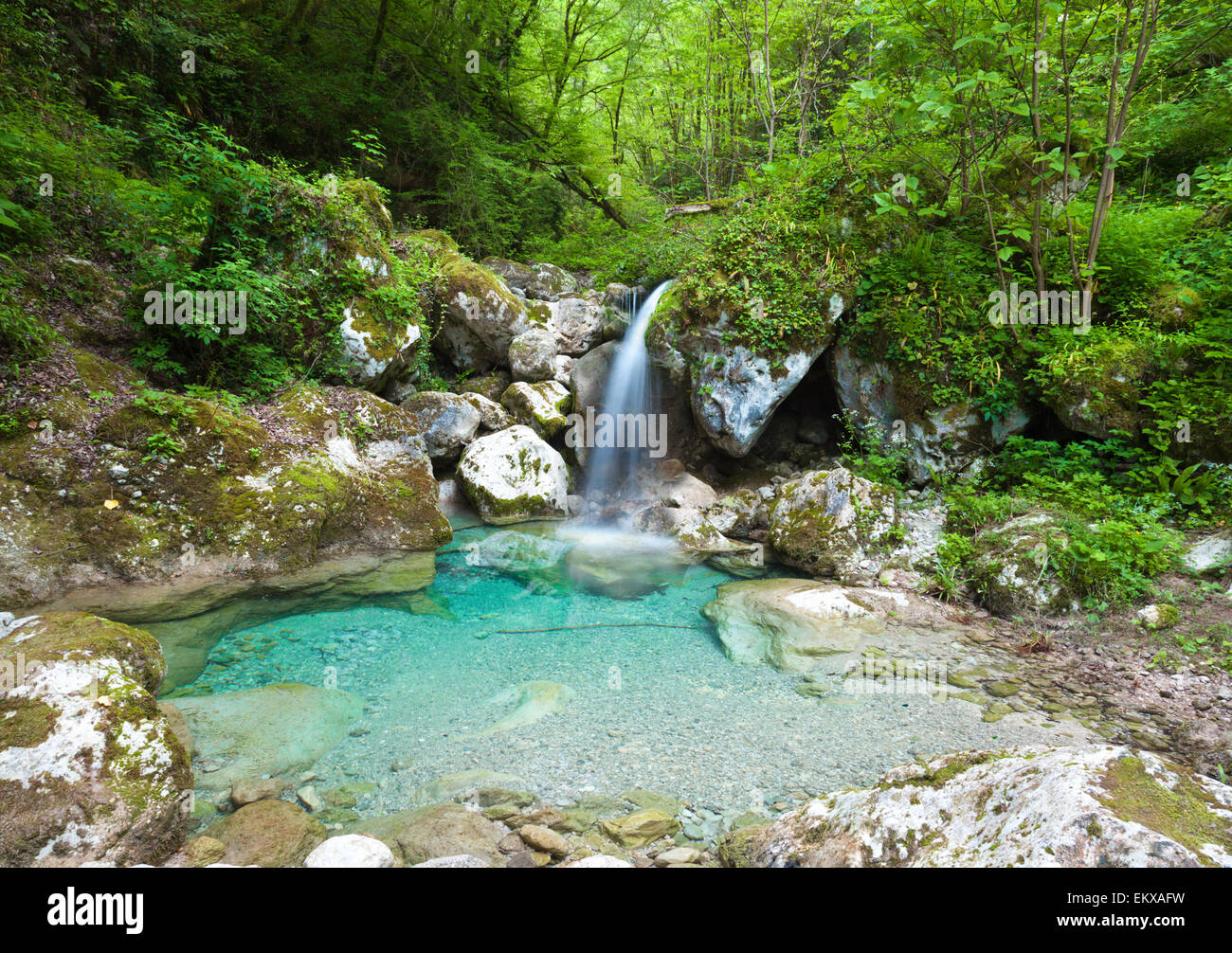 Cascata in deep forest Foto Stock