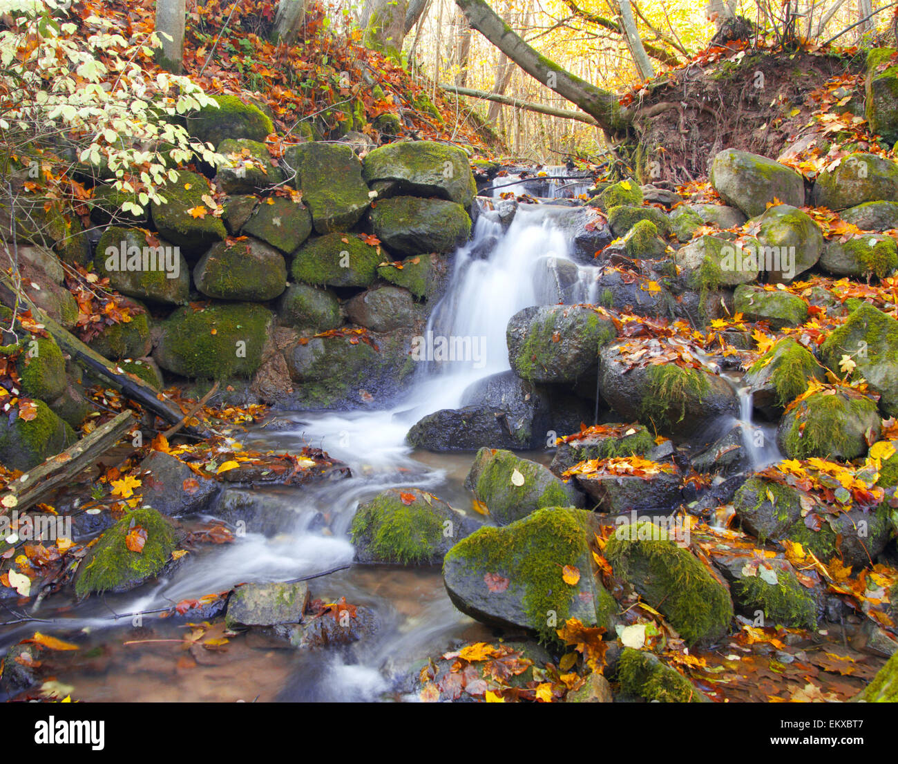 Bella cascata cascata nella foresta di autunno Foto Stock