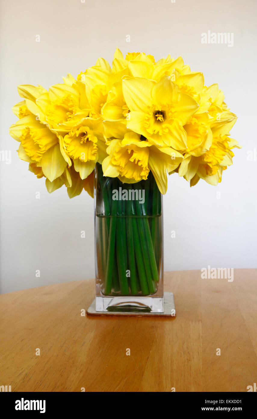 Un vaso di narcisi in fiore su un tavolo da cucina. Foto Stock