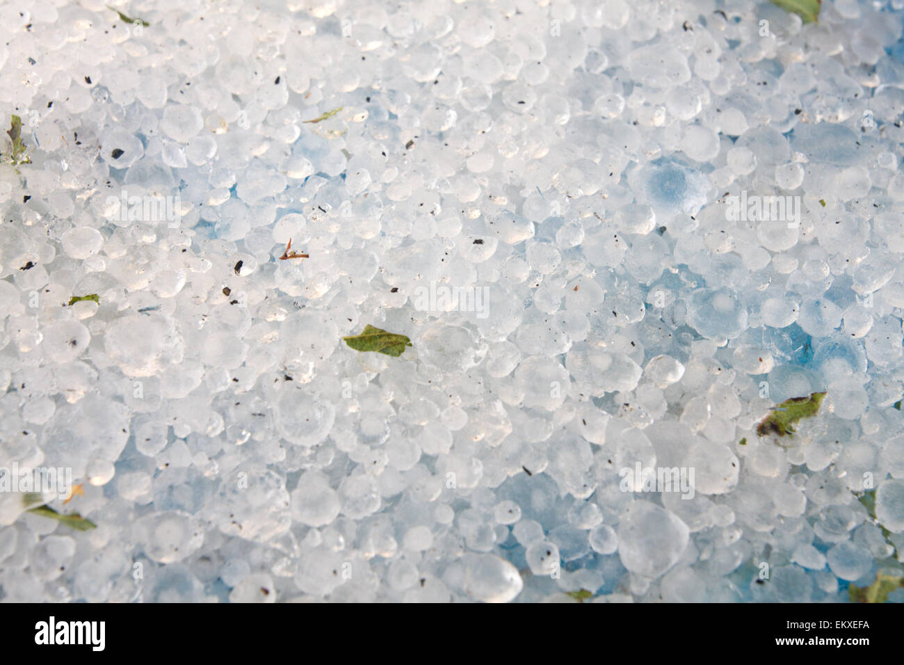 Palle di ghiaccio grandine Foto Stock