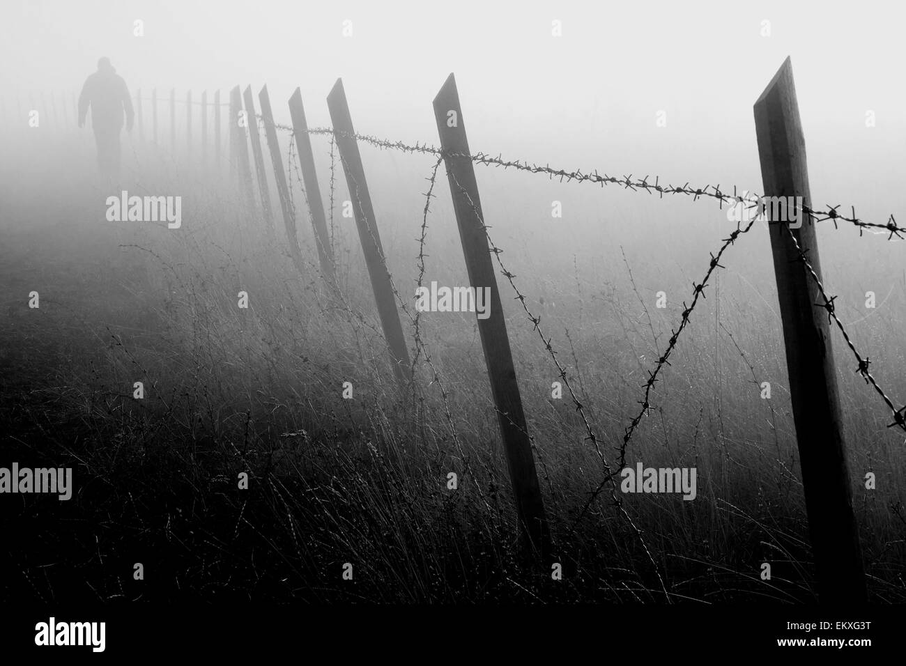 Uomo che cammina vicino al recinto di filo spinato nella fitta nebbia Foto Stock