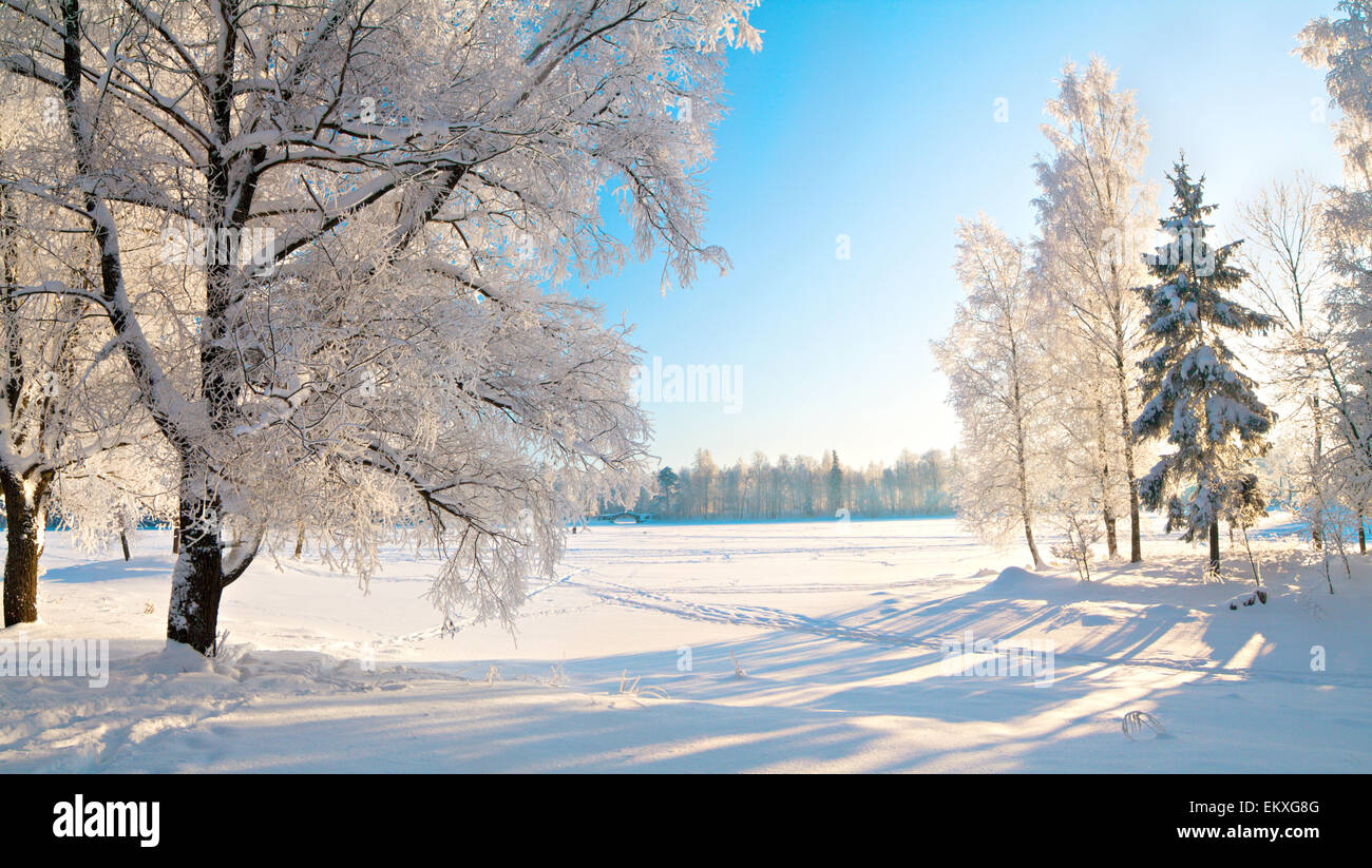 Winter Park nella neve Foto Stock