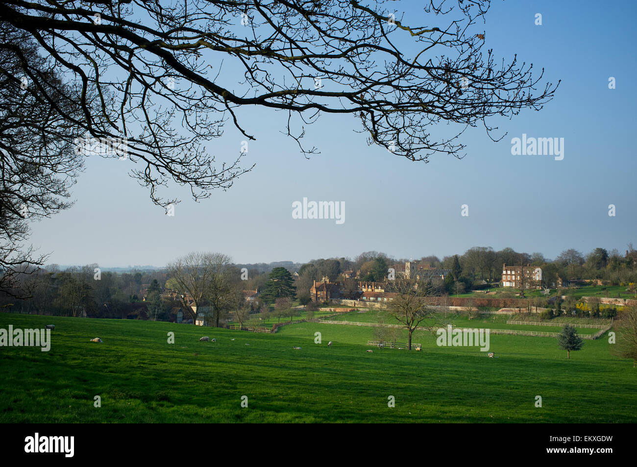 Vista su campagna guardando verso il villaggio di Oxfordshire di Ewelme. Pecore al pascolo in primo piano. Foto Stock