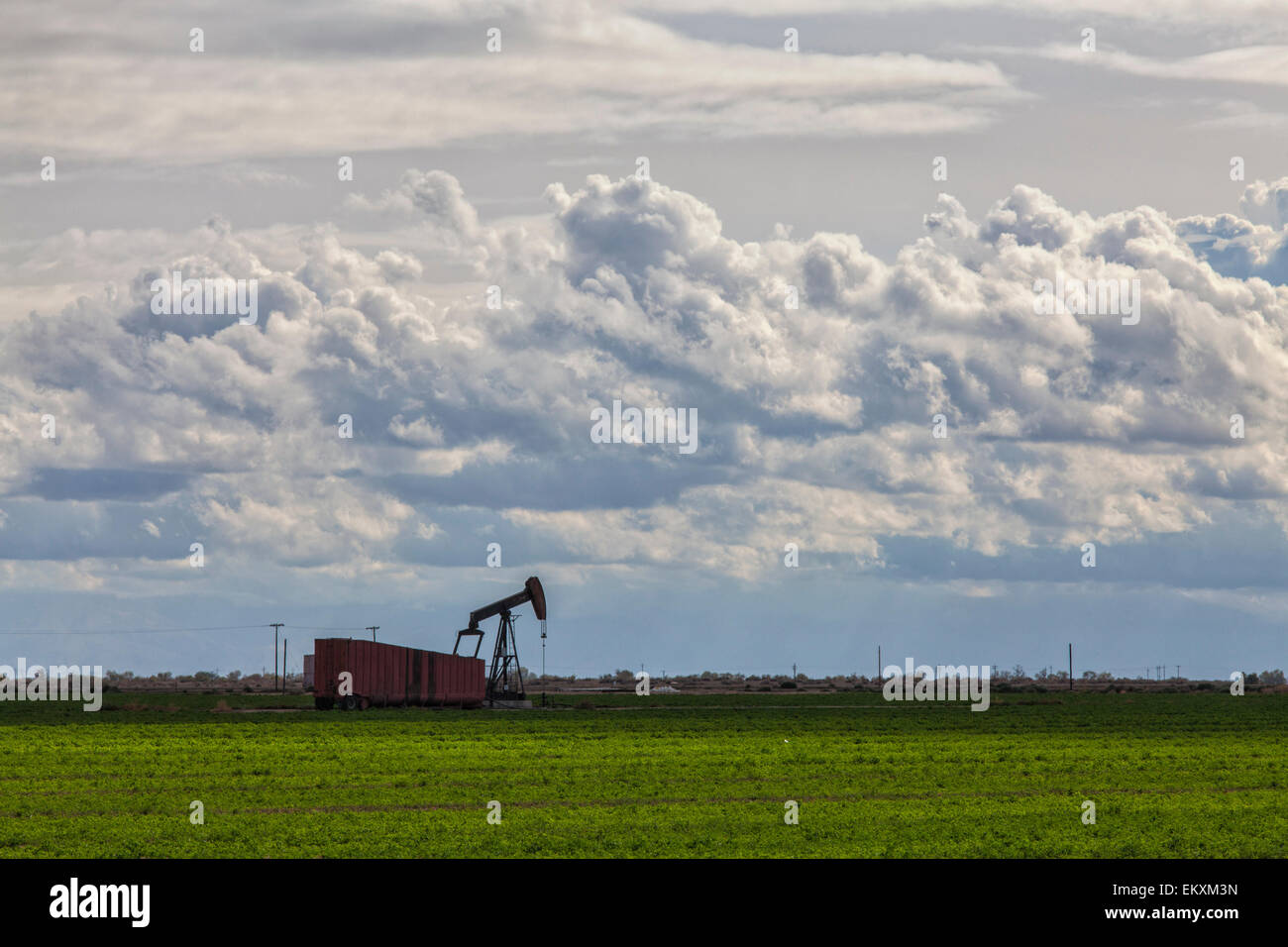 Olio bene vicino Shafter. Kern County, San Joaquin Valley, California, Stati Uniti d'America Foto Stock