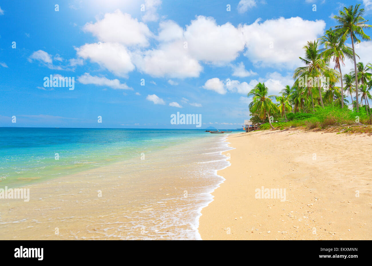 Spiaggia tropicale con palme di cocco Foto Stock