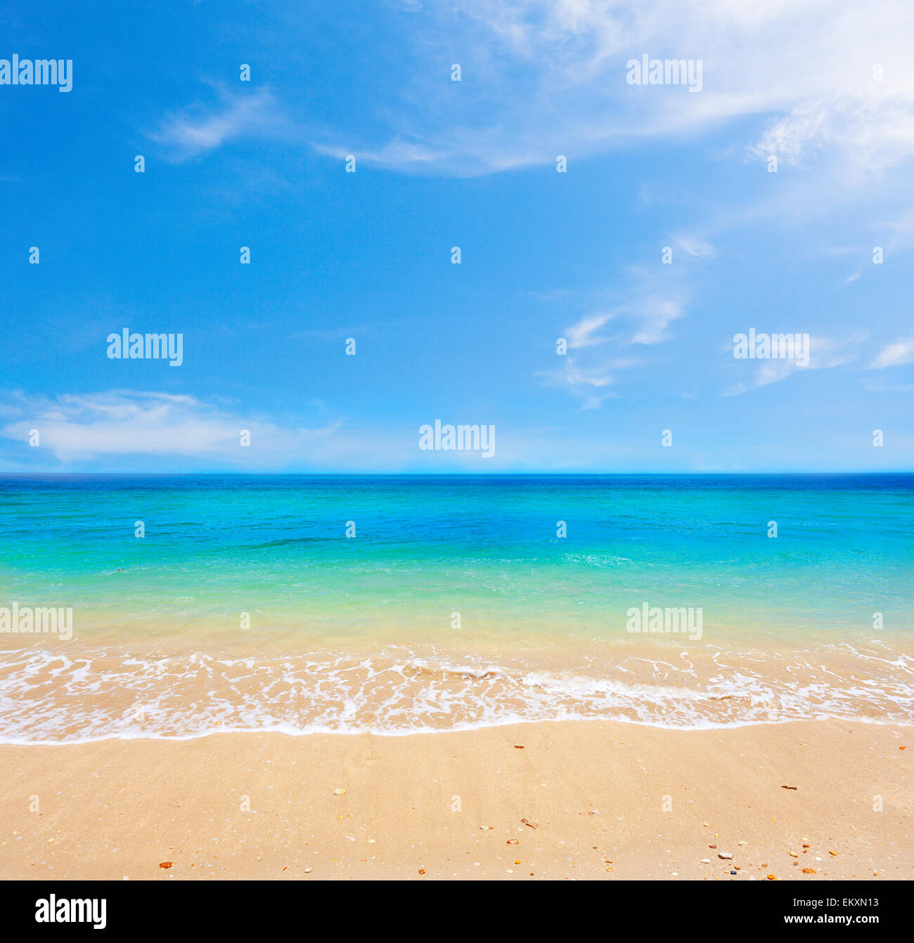 Spiaggia e bellissimo mare tropicale Foto Stock